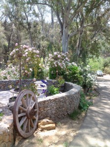 The drive and walkway up to the entrance, adorned with beautiful brickwork and abundance of roses.