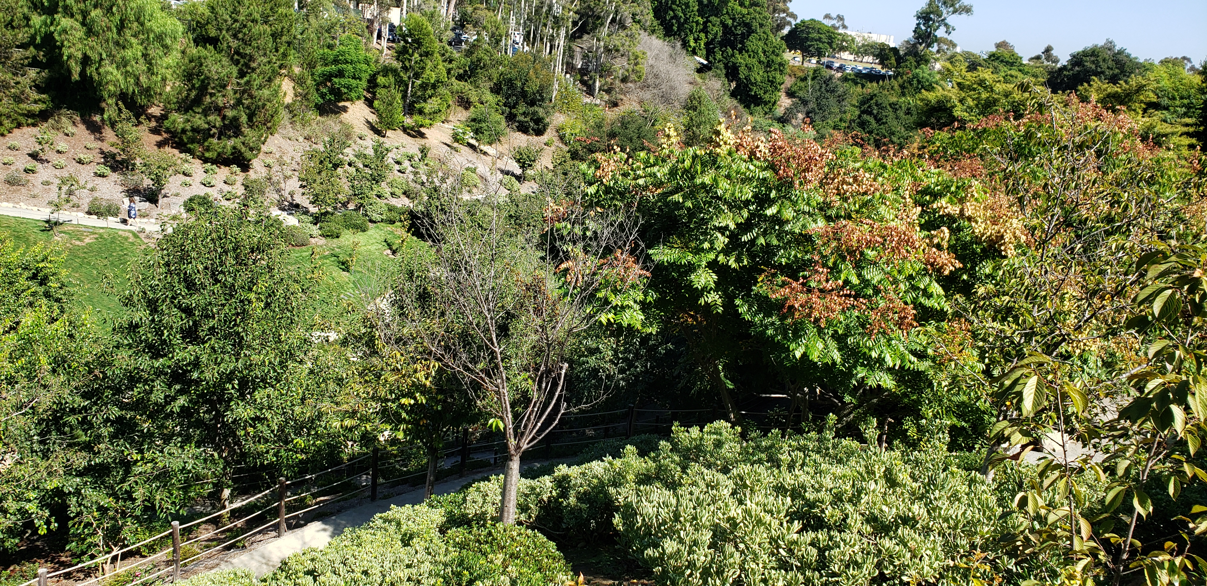 japanese friendship garden