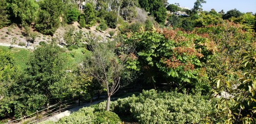 japanese friendship garden